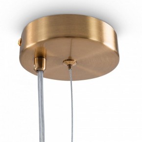 Подвесная люстра Freya Flaty FR5374PL-10BS в Лесном - lesnoy.mebel24.online | фото 8