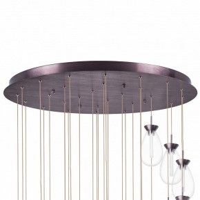 Подвесная люстра Lightstar Colore 805289 в Лесном - lesnoy.mebel24.online | фото 6