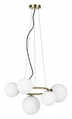 Подвесная люстра Lightstar Globo 815051 в Лесном - lesnoy.mebel24.online | фото 2