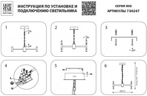 Подвесная люстра Lightstar Iris 734247 в Лесном - lesnoy.mebel24.online | фото 4