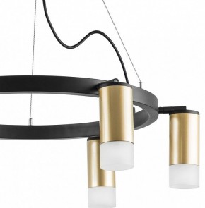 Подвесная люстра Lightstar Rullo LR0164061 в Лесном - lesnoy.mebel24.online | фото 4