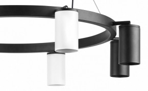 Подвесная люстра Lightstar Rullo LR018364374 в Лесном - lesnoy.mebel24.online | фото 5
