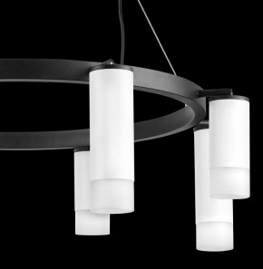 Подвесная люстра Lightstar Rullo LR0183648641 в Лесном - lesnoy.mebel24.online | фото 5