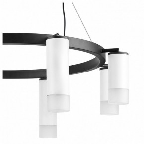 Подвесная люстра Lightstar Rullo LR0188643641 в Лесном - lesnoy.mebel24.online | фото 5