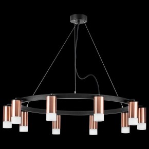 Подвесная люстра Lightstar Rullo LR0203001 в Лесном - lesnoy.mebel24.online | фото 3