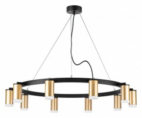 Подвесная люстра Lightstar Rullo LR0204000 в Лесном - lesnoy.mebel24.online | фото 2