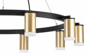 Подвесная люстра Lightstar Rullo LR0204000 в Лесном - lesnoy.mebel24.online | фото 5