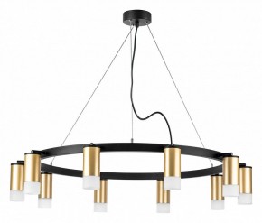 Подвесная люстра Lightstar Rullo LR0204001 в Лесном - lesnoy.mebel24.online | фото 2