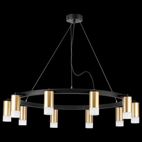 Подвесная люстра Lightstar Rullo LR0204001 в Лесном - lesnoy.mebel24.online | фото 3