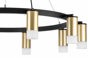 Подвесная люстра Lightstar Rullo LR0204001 в Лесном - lesnoy.mebel24.online | фото 5