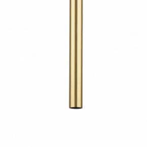 Подвесная люстра Lightstar Tubo L3T747443 в Лесном - lesnoy.mebel24.online | фото 5