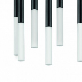 Подвесная люстра Lightstar Tubo L8T747147 в Лесном - lesnoy.mebel24.online | фото 4