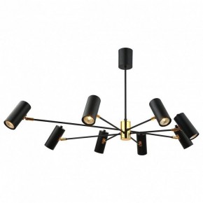 Подвесная люстра Lussole Duncan GRLSP-8252 в Лесном - lesnoy.mebel24.online | фото 2