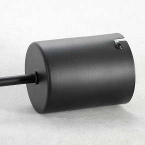 Подвесная люстра Lussole Duncan GRLSP-8252 в Лесном - lesnoy.mebel24.online | фото 4