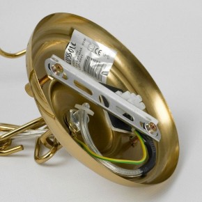 Подвесная люстра Lussole Hesperia LSP-8841 в Лесном - lesnoy.mebel24.online | фото 10