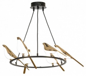 Подвесная люстра Lussole Jasper LSP-8641 в Лесном - lesnoy.mebel24.online | фото 2