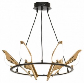 Подвесная люстра Lussole Jasper LSP-8641 в Лесном - lesnoy.mebel24.online | фото 4
