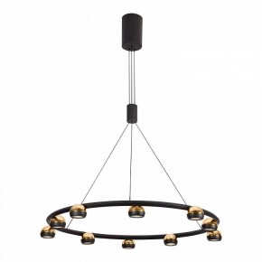 Подвесная люстра Lussole Lassen LSP-7253 в Лесном - lesnoy.mebel24.online | фото 2