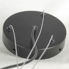 Подвесная люстра Lussole LSP-875 LSP-8750 в Лесном - lesnoy.mebel24.online | фото 5