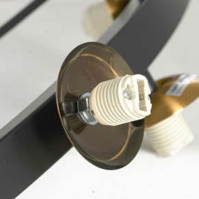 Подвесная люстра Lussole LSP-875 LSP-8750 в Лесном - lesnoy.mebel24.online | фото 6