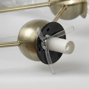 Подвесная люстра Lussole LSP-889 LSP-8899 в Лесном - lesnoy.mebel24.online | фото 6