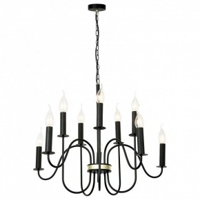 Подвесная люстра Lussole Roosevelt GRLSP-8198 в Лесном - lesnoy.mebel24.online | фото 2