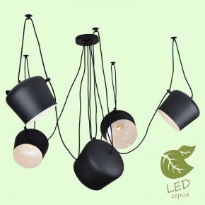 Подвесная люстра Lussole Shirley GRLSP-9919 в Лесном - lesnoy.mebel24.online | фото