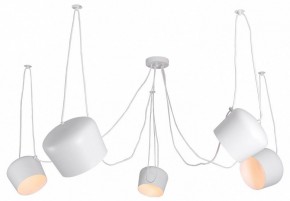 Подвесная люстра Lussole Shirley LSP-8175 в Лесном - lesnoy.mebel24.online | фото
