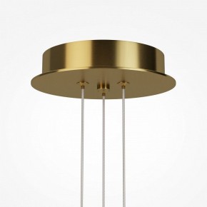 Подвесная люстра Maytoni Arana MOD401PL-L108BS3K в Лесном - lesnoy.mebel24.online | фото 7