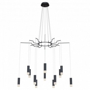 Подвесная люстра Maytoni Davida MOD035PL-12B в Лесном - lesnoy.mebel24.online | фото 2