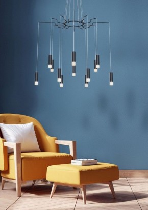 Подвесная люстра Maytoni Davida MOD035PL-12B в Лесном - lesnoy.mebel24.online | фото 4