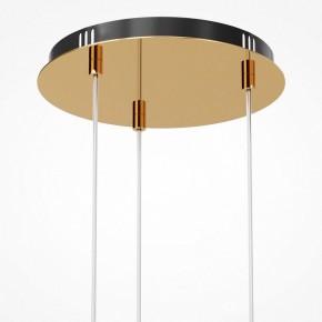 Подвесная люстра Maytoni Drop MOD273PL-L33G3K в Лесном - lesnoy.mebel24.online | фото 6