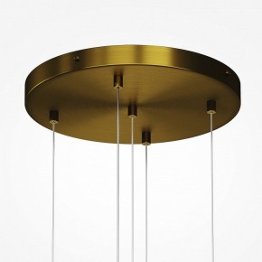 Подвесная люстра Maytoni Frozen MOD254PL-05BS в Лесном - lesnoy.mebel24.online | фото 4