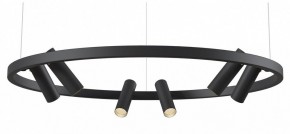 Подвесная люстра Maytoni Halo MOD102PL-L42BK в Лесном - lesnoy.mebel24.online | фото