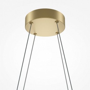 Подвесная люстра Maytoni Halo MOD244PL-L50BSK в Лесном - lesnoy.mebel24.online | фото 4