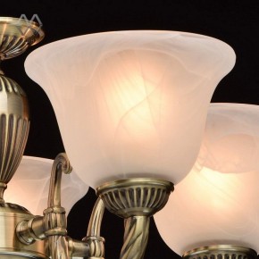 Подвесная люстра MW-Light Ариадна 20 450016305 в Лесном - lesnoy.mebel24.online | фото 5