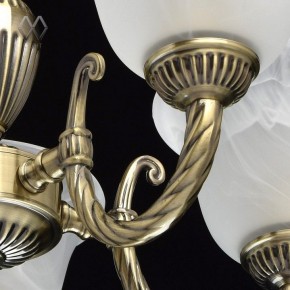Подвесная люстра MW-Light Ариадна 20 450016305 в Лесном - lesnoy.mebel24.online | фото 6