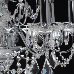 Подвесная люстра MW-Light Каролина 7 367013408 в Лесном - lesnoy.mebel24.online | фото 6