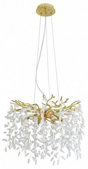 Подвесная люстра MW-Light Лайма 10 467012808 в Лесном - lesnoy.mebel24.online | фото