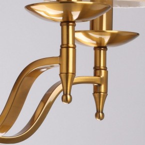 Подвесная люстра MW-Light Вирджиния 7 444012205 в Лесном - lesnoy.mebel24.online | фото 10