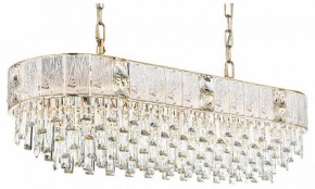 Подвесная люстра Odeon Light Fiesta 5070/14 в Лесном - lesnoy.mebel24.online | фото