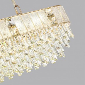 Подвесная люстра Odeon Light Fiesta 5070/14 в Лесном - lesnoy.mebel24.online | фото 6