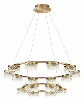 Подвесная люстра Odeon Light Fivre 5032/96L в Лесном - lesnoy.mebel24.online | фото 2