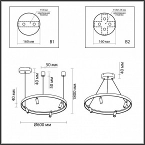 Подвесная люстра Odeon Light Fonda 4317/58L в Лесном - lesnoy.mebel24.online | фото 6