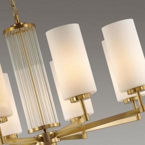 Подвесная люстра Odeon Light Kasali 4990/8 в Лесном - lesnoy.mebel24.online | фото 7