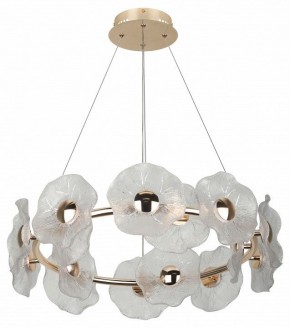 Подвесная люстра Rivoli Shannon Б0061947 в Лесном - lesnoy.mebel24.online | фото 4