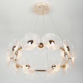 Подвесная люстра Rivoli Shannon Б0061947 в Лесном - lesnoy.mebel24.online | фото 6