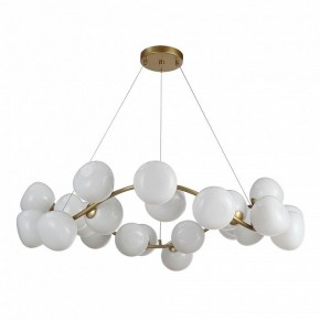 Подвесная люстра ST-Luce Sweven SL1519.303.24 в Лесном - lesnoy.mebel24.online | фото 2