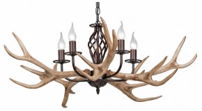 Подвесная люстра Vitaluce  V1491/5 в Лесном - lesnoy.mebel24.online | фото