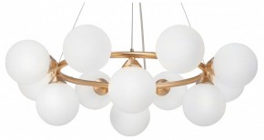 Подвесная люстра Vitaluce V48410 V48410-8/12S в Лесном - lesnoy.mebel24.online | фото